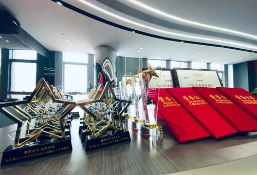 淘?xún)?yōu)賣(mài)2020年度總結(jié)表彰大會(huì)暨2021年員工大會(huì)隆重召開(kāi)